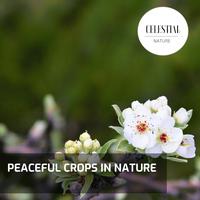 Peaceful Crops in Nature