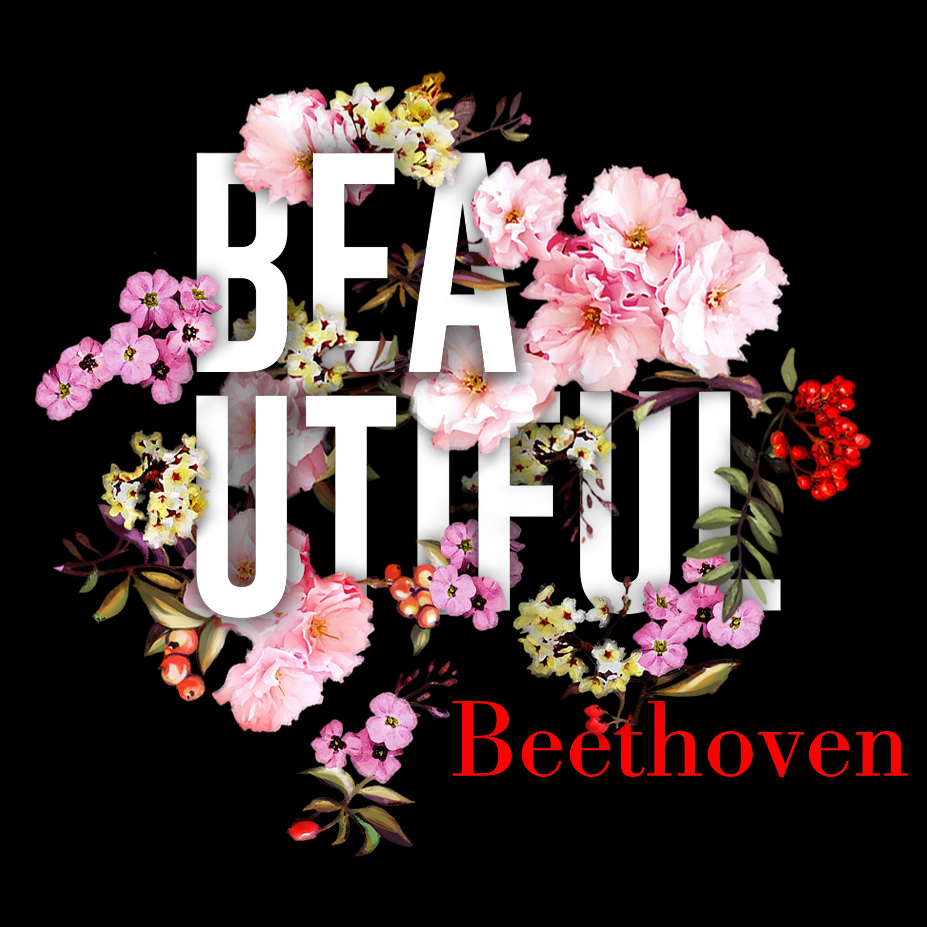 Beethoven:Violin Concerto in D Major, Op. 61, ii. Larghetto