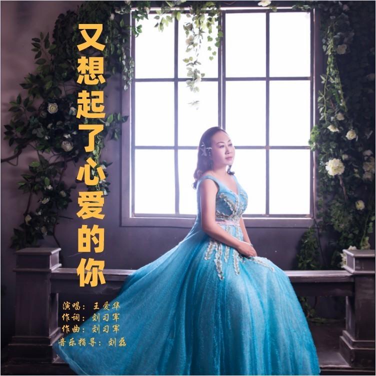 又想起了心爱的你 (DJ版伴奏) - 王爱华封面