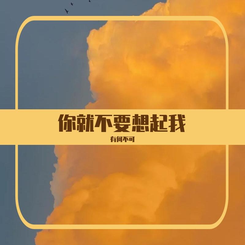 沦陷.wav - 有何不可封面