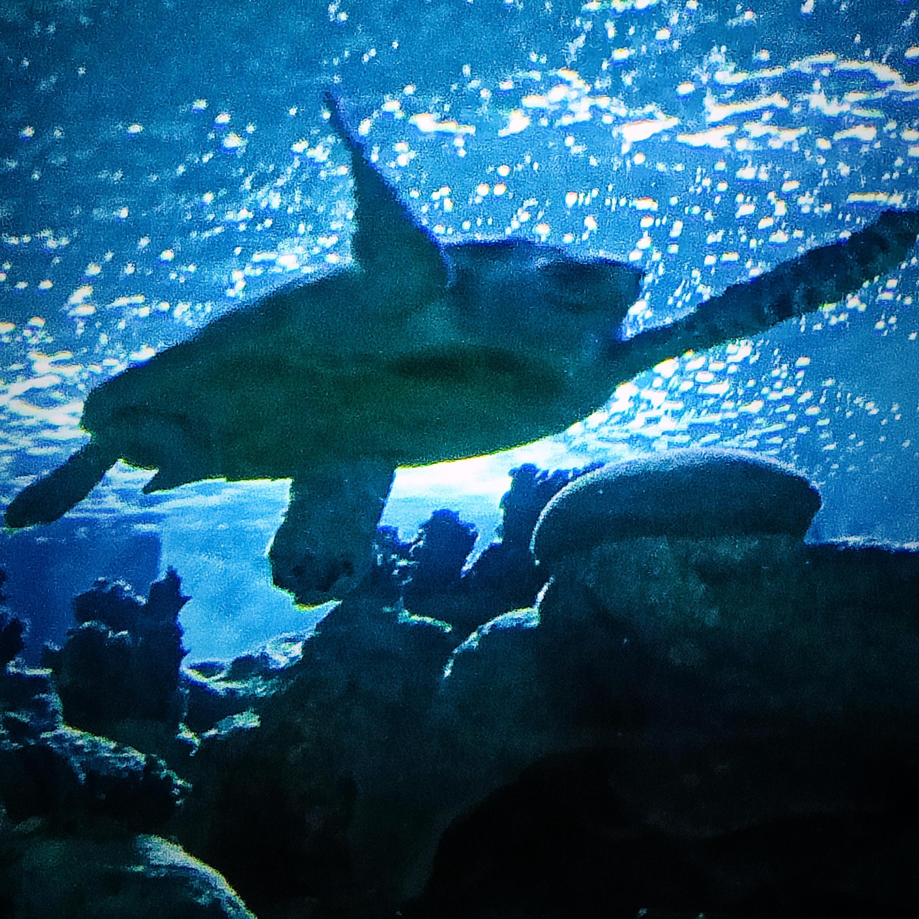 只要你能开心（prod.by Morrow）