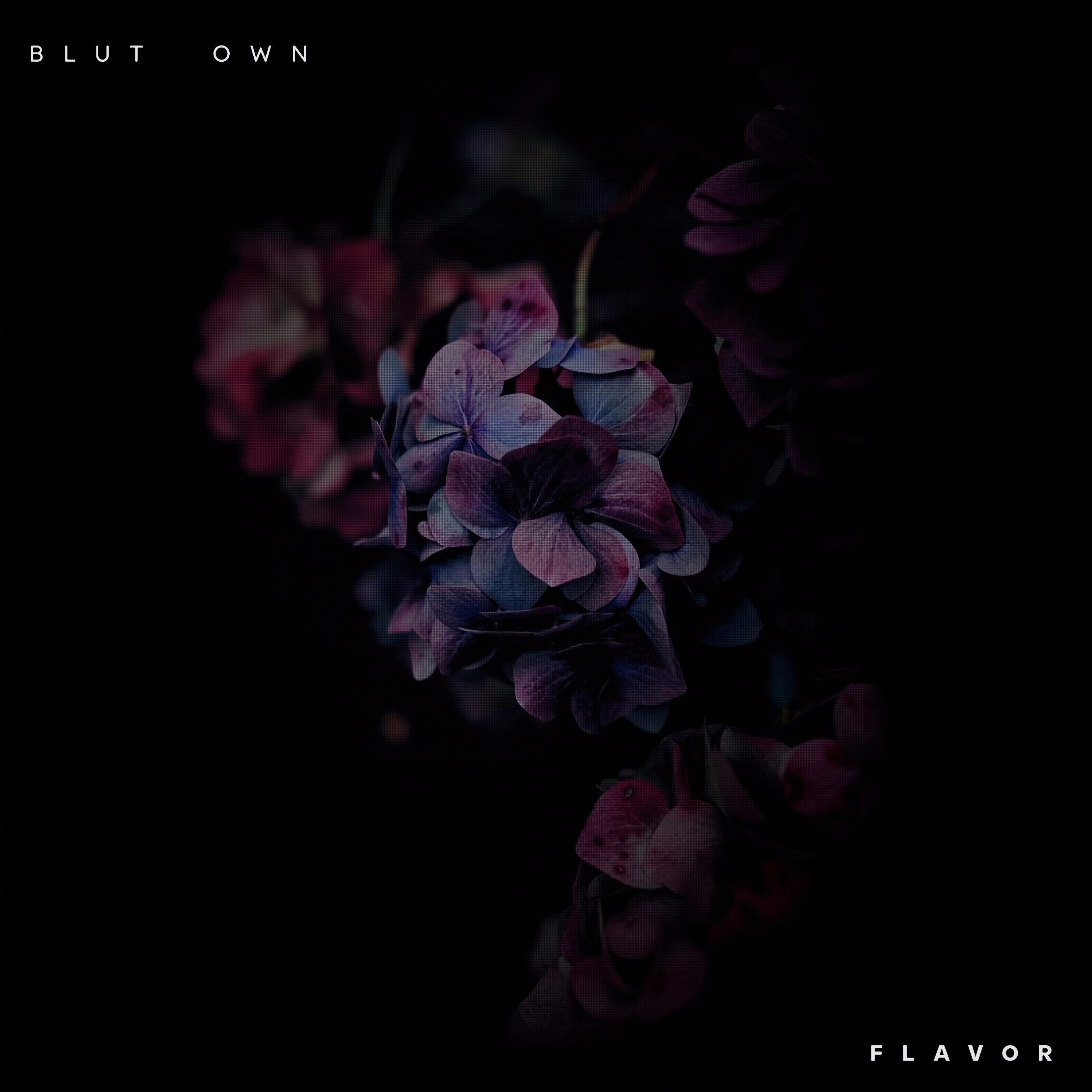 Like the Wind_Blut Own_Flavor | 在线播放_Like the Wind歌词_Like the Wind下载 | 网易云音乐