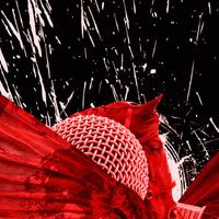 Prolific Wone资料,Prolific Wone最新歌曲,Prolific WoneMV视频,Prolific Wone音乐专辑,Prolific Wone好听的歌