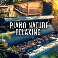 Piano Nature Relaxing