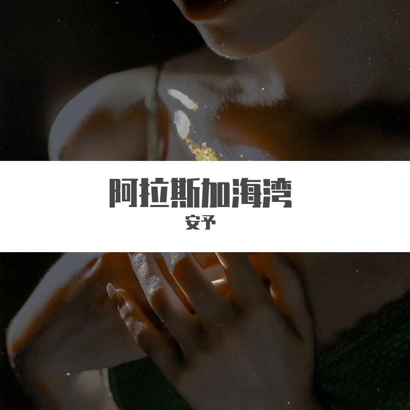 阿拉斯加海湾【温柔治愈版】封面