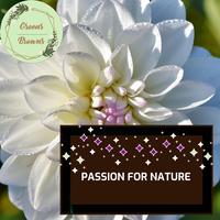 Passion for Nature