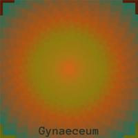 Eline Obes - Venusta