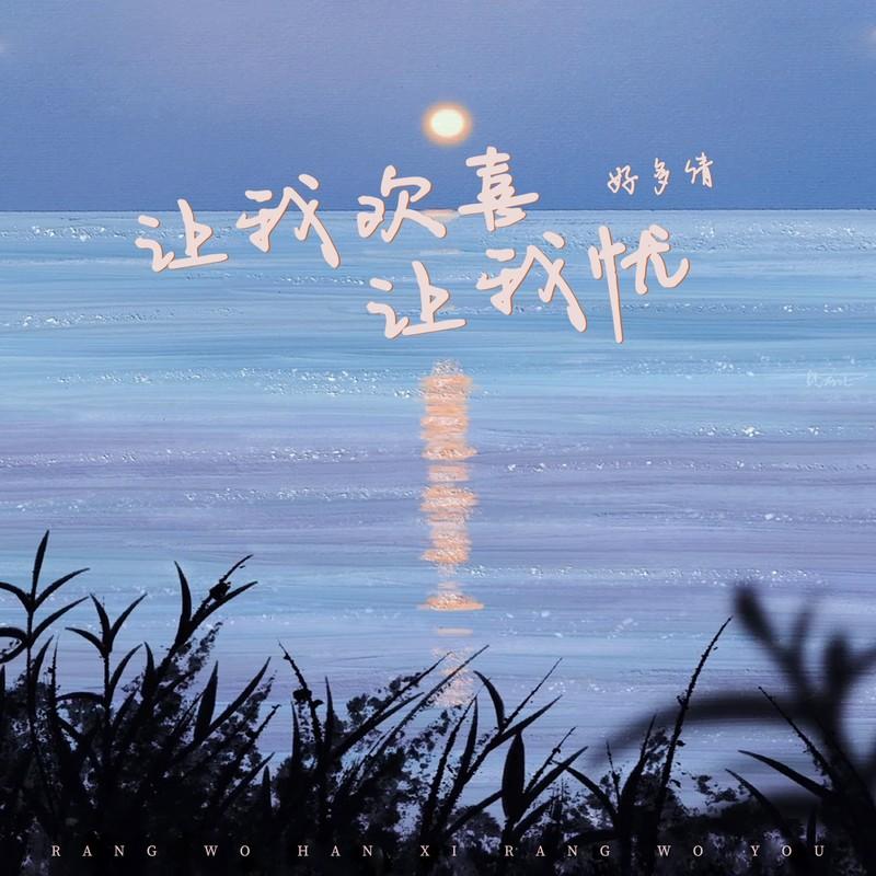 让我欢喜让我忧(DJ版)封面