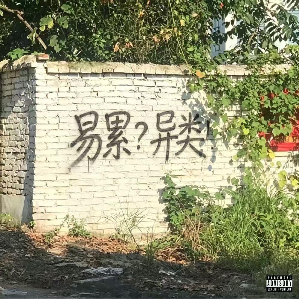 易累？异类！
