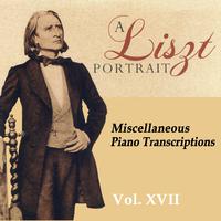 A Liszt Portrait, Vol. XVII