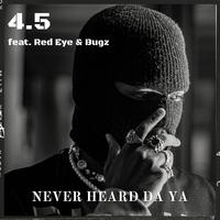 Never Heard Da Ya