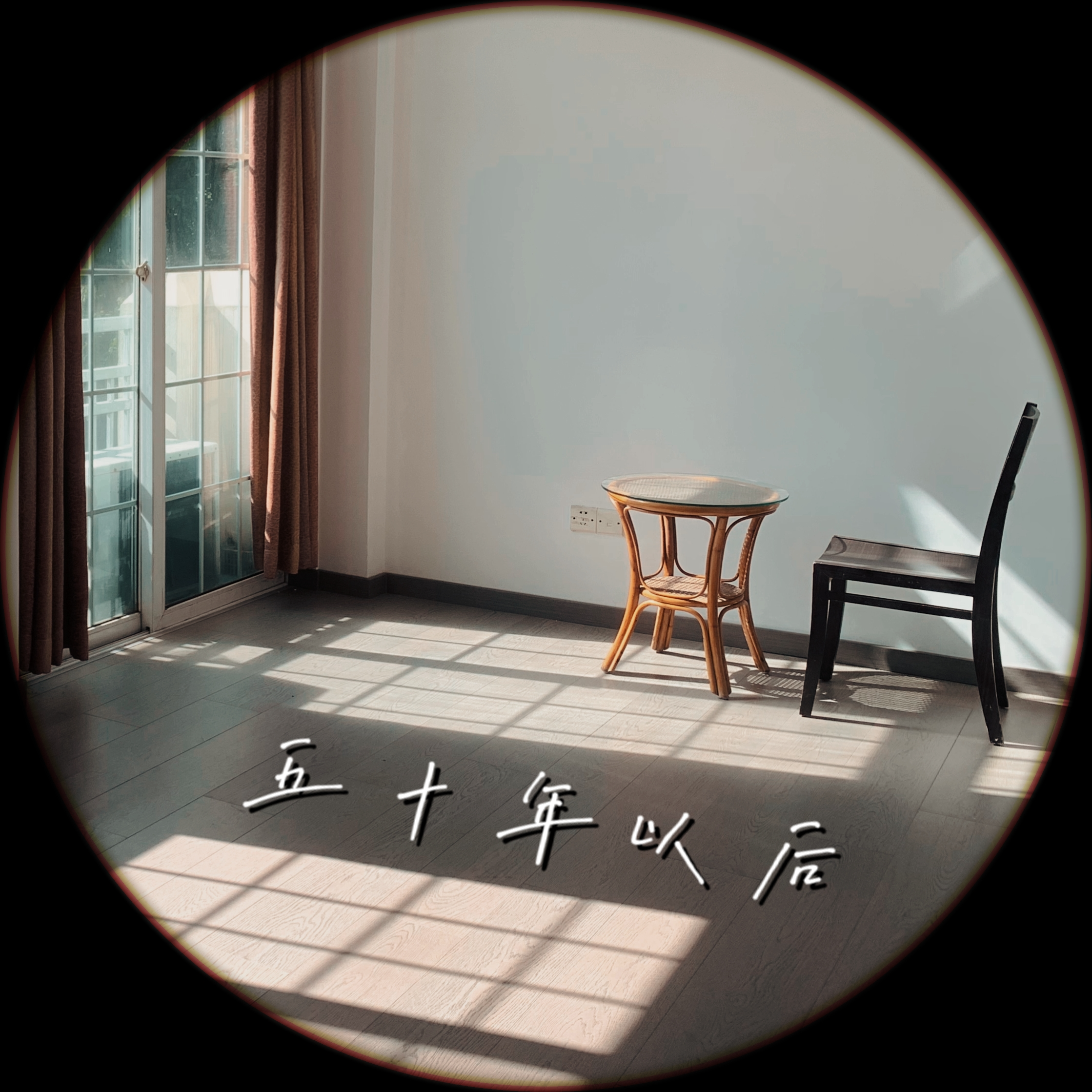 五十年之后 - 湖里浮木封面