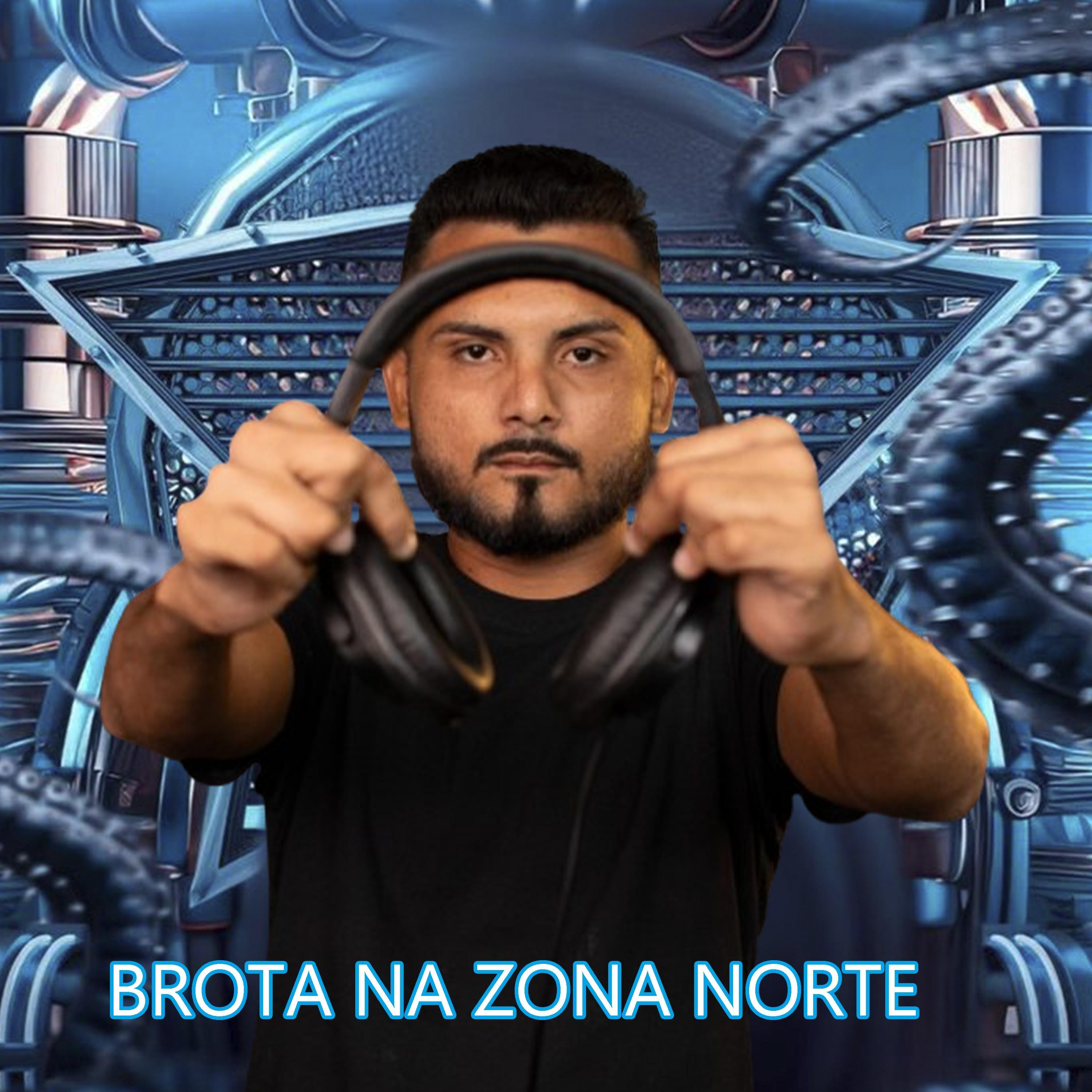 BROTA NA ZONA NORTE (Live)