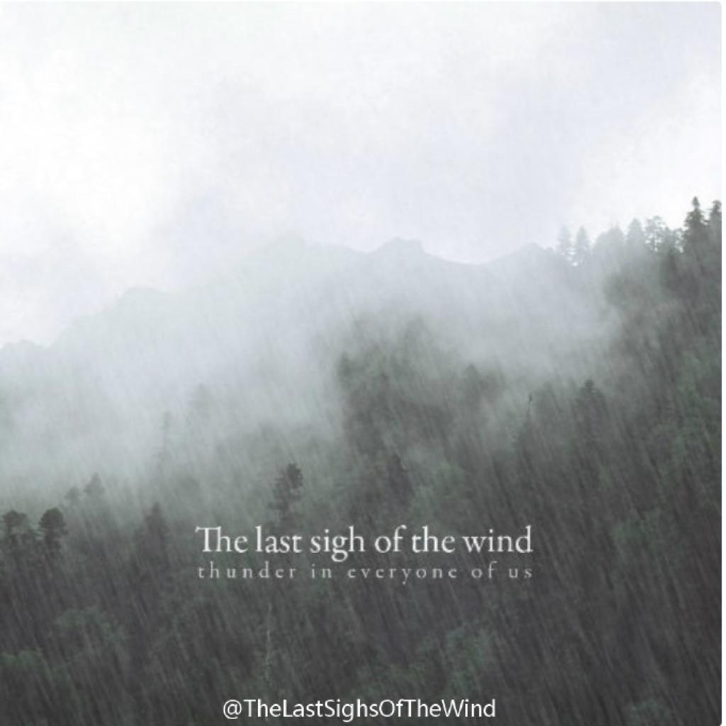 再见墨茶Official