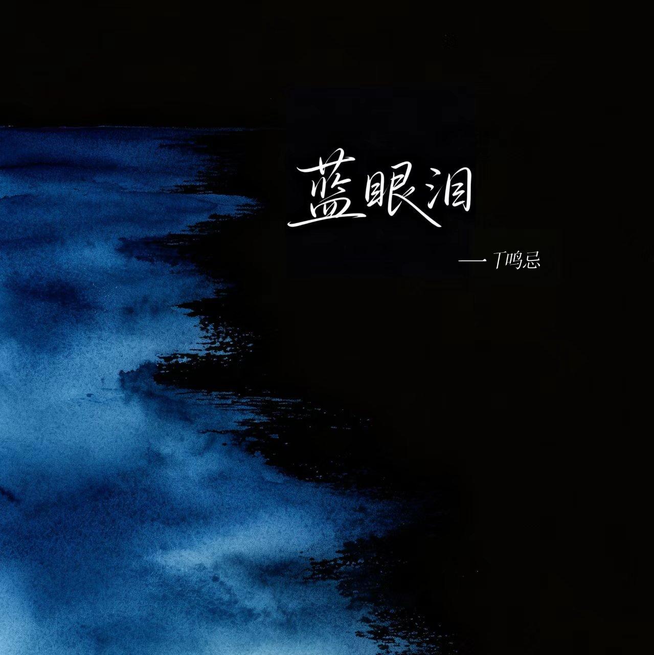 蓝眼泪（伴奏）封面