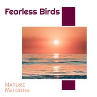 Fearless Birds - Nature Melodies