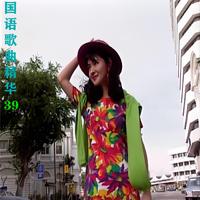 国语歌曲精华39