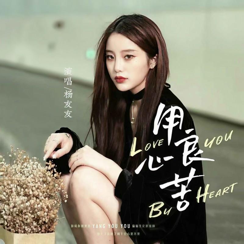 用心良苦 (女声版) - 杨友友封面