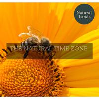 The Natural Time Zone