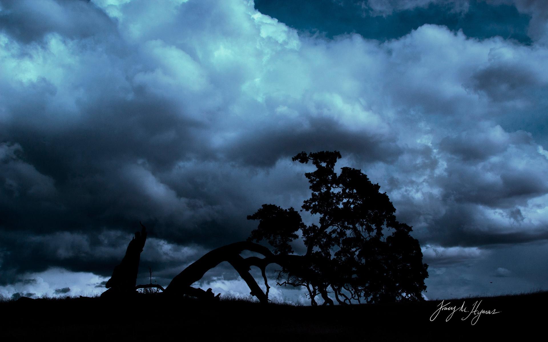 社会摇歌曲_社会摇背景音乐