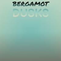 Bergamot Dusks