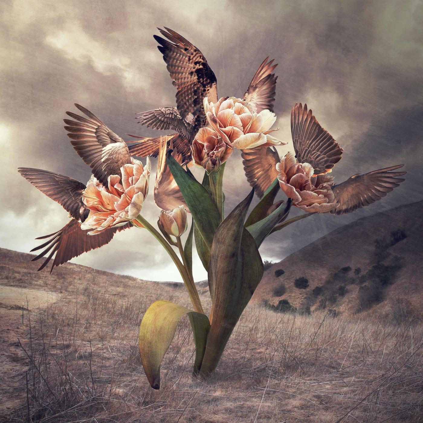 Marvels of Creatures and Strange Things Existing: V. The Sea Serpent