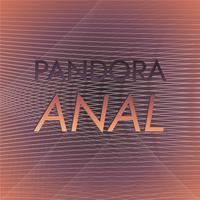 Pandora Anal