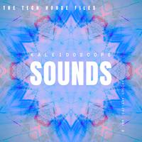 Kaleidoscope Sounds, Vol. 2 (The Tech House Files)