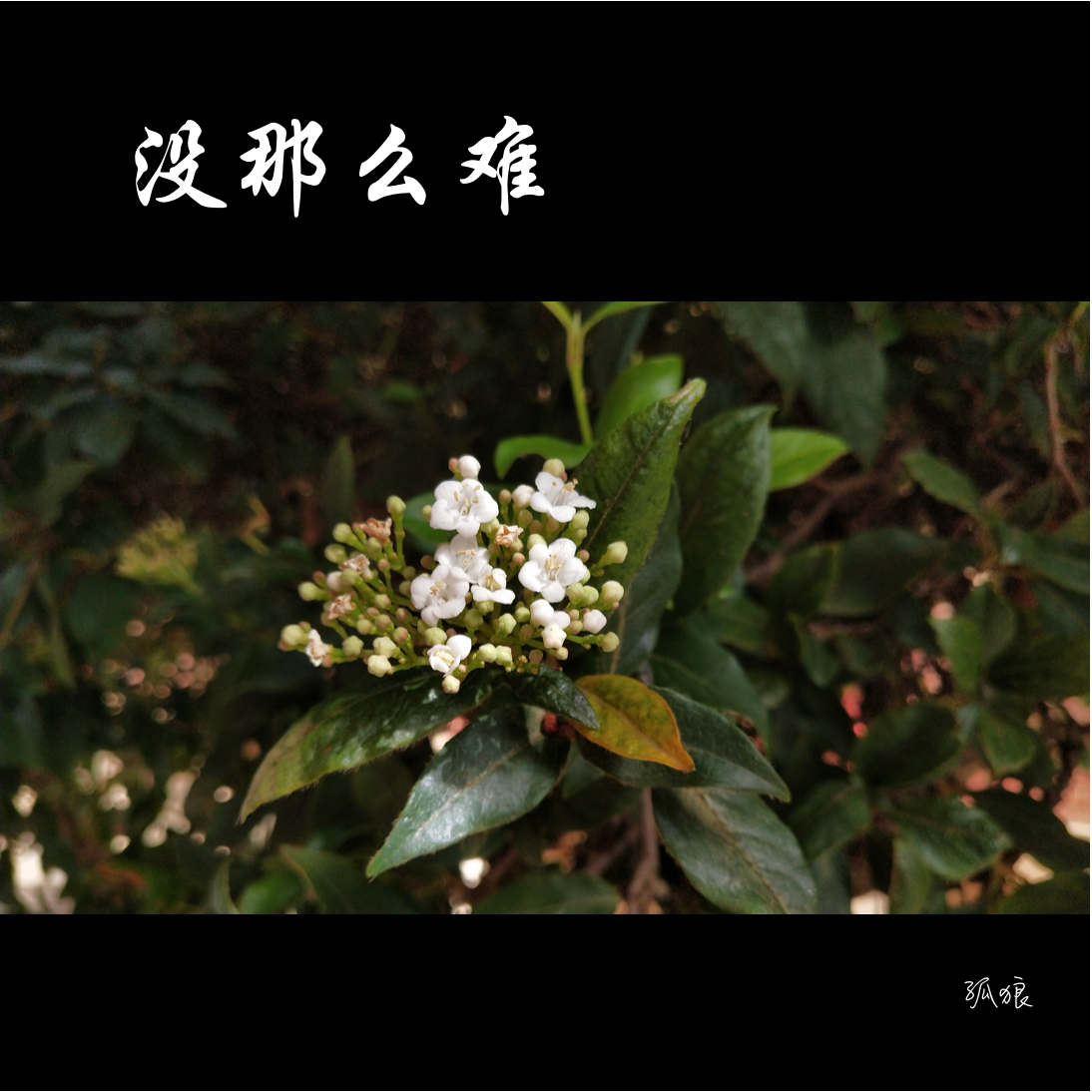 没那么难封面