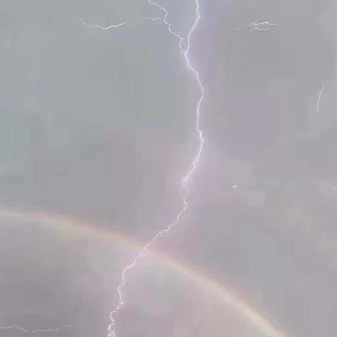 暴雨封面