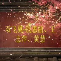 双飞翼