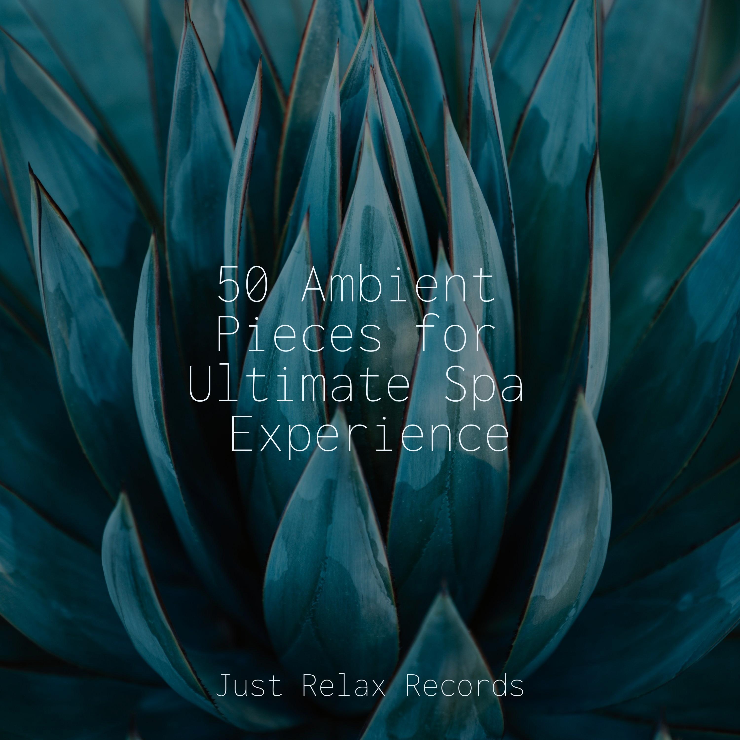 Serenity in the Woodlands Soothing Sounds/PowerThoughts Meditation