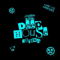 Pretty Little Deep-House Friends, Vol. 2