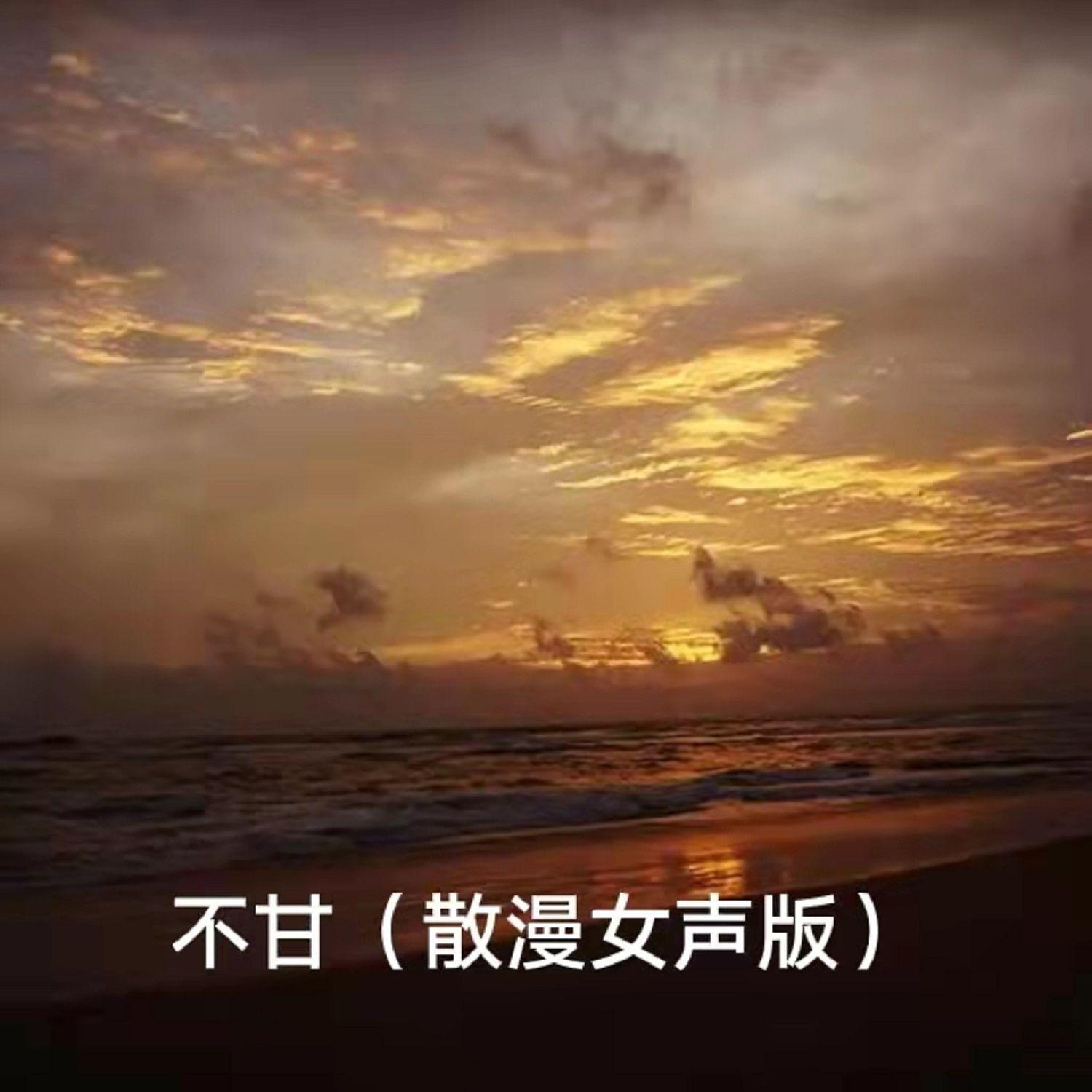 不甘（散漫女声版）封面
