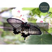 Revitalizing Nature Sounds