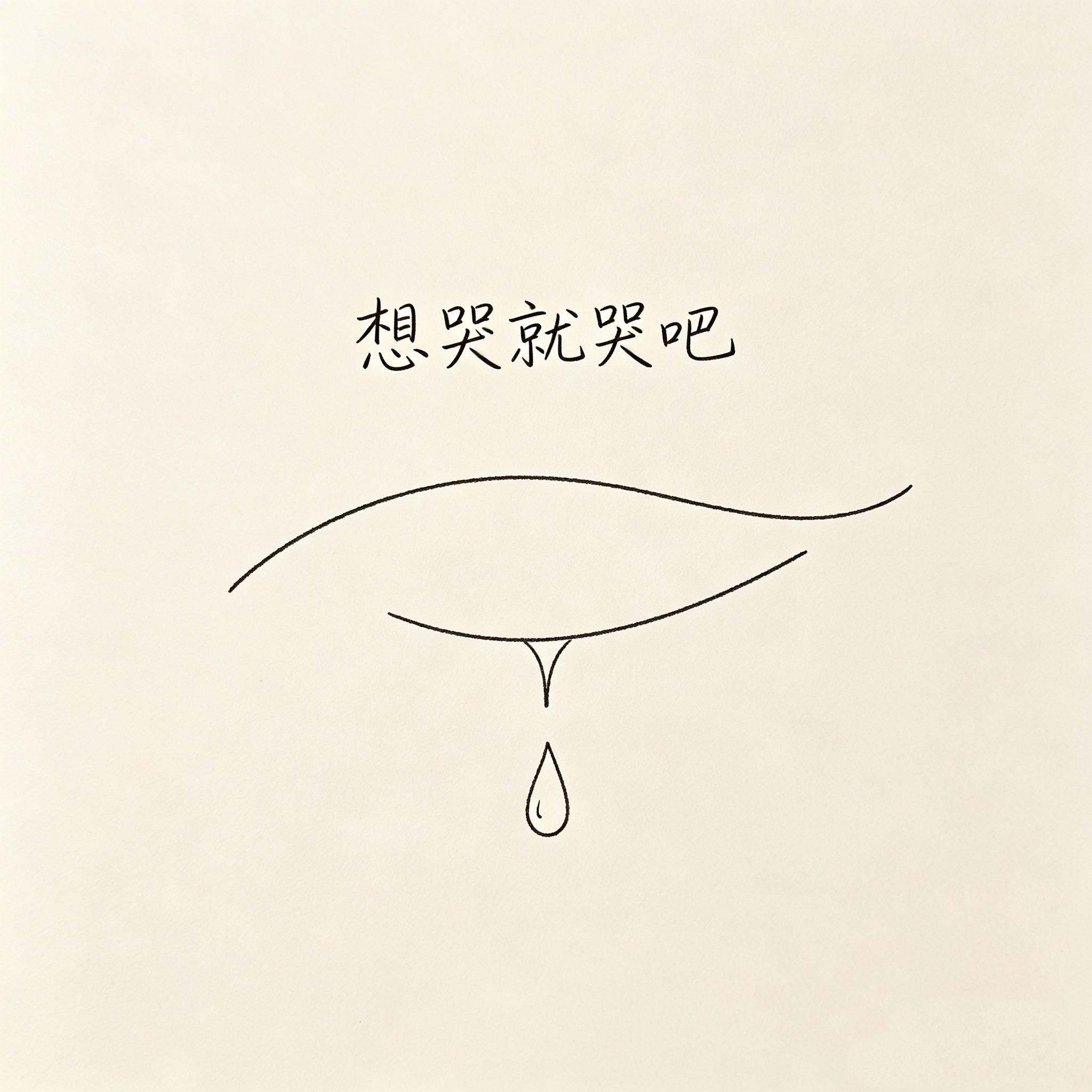 想哭就哭吧 伴奏封面