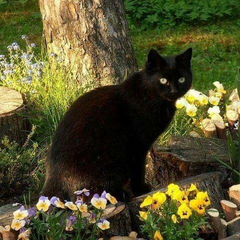 该账号正在听歌