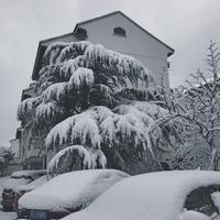 苏州根本不会下雪