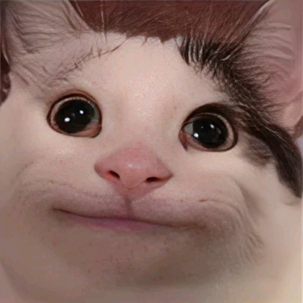 莫问归期dj封面
