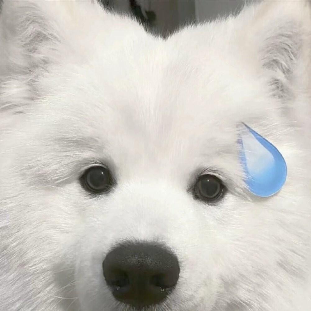 有李说不清_UN2t