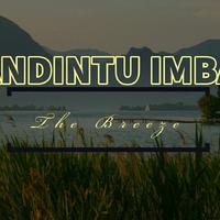 Andintu Imba