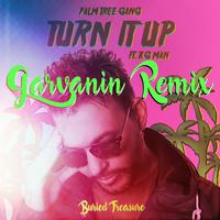 Turn It Up (Garvanin Remix)