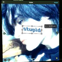 stupid