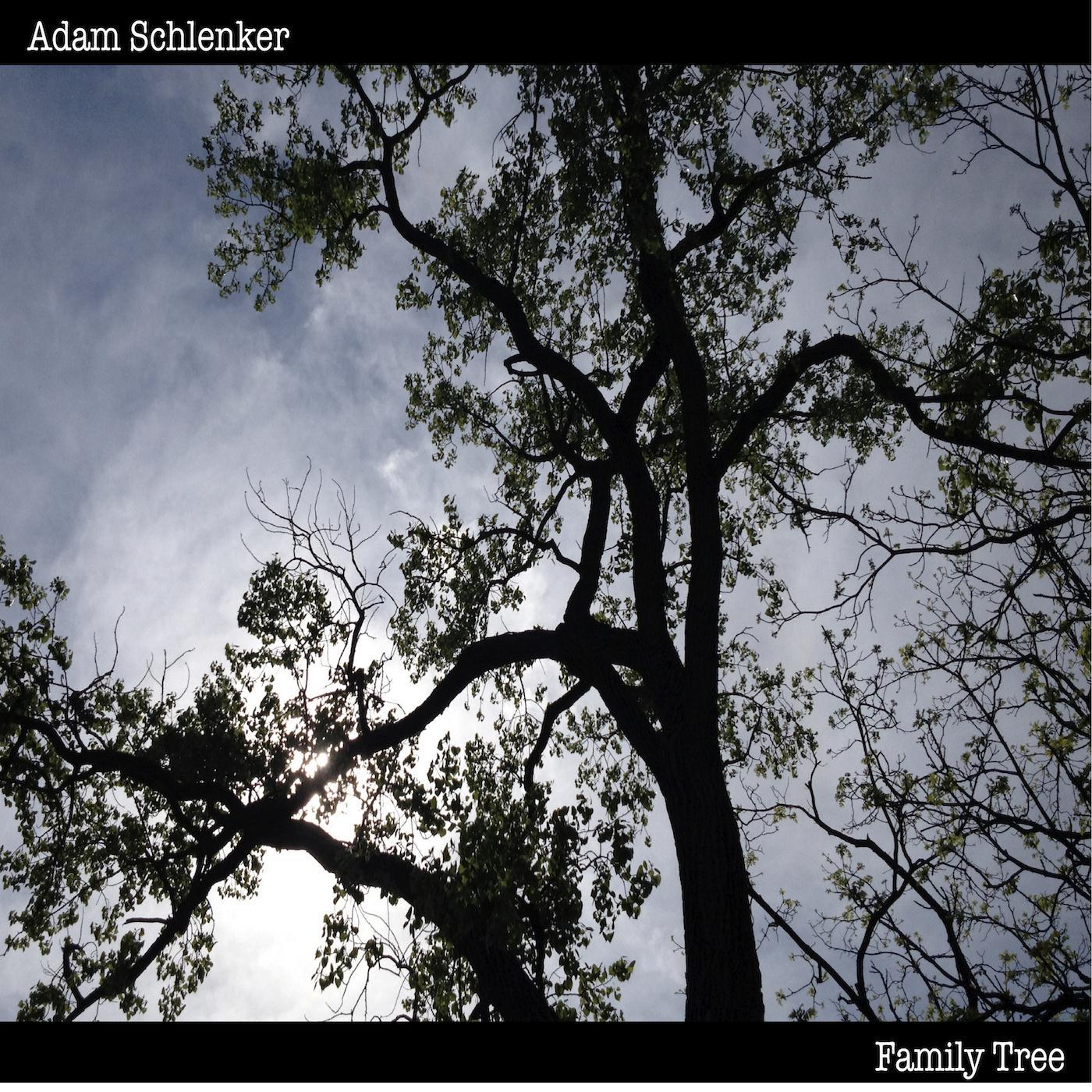 A Fork in the Tree: All Blues / Clinch Mountain Backstep