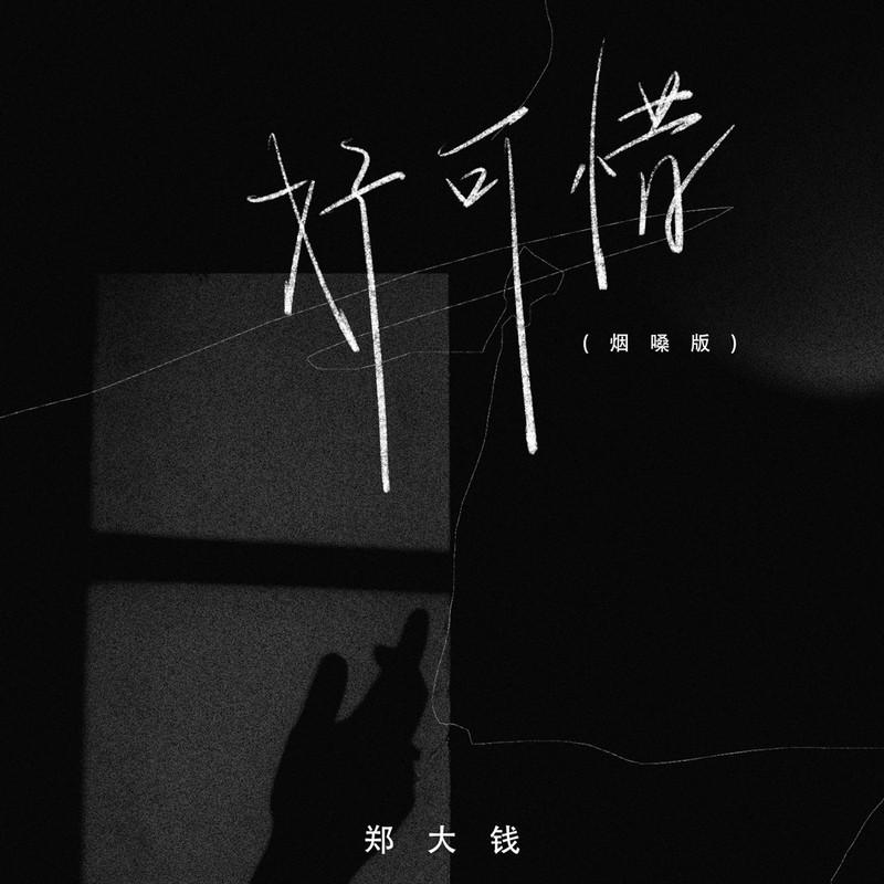 好可惜 (烟嗓版) - 郑大钱封面