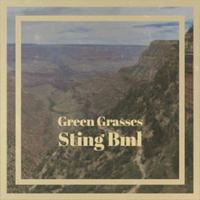 Green Grasses Sting Bml