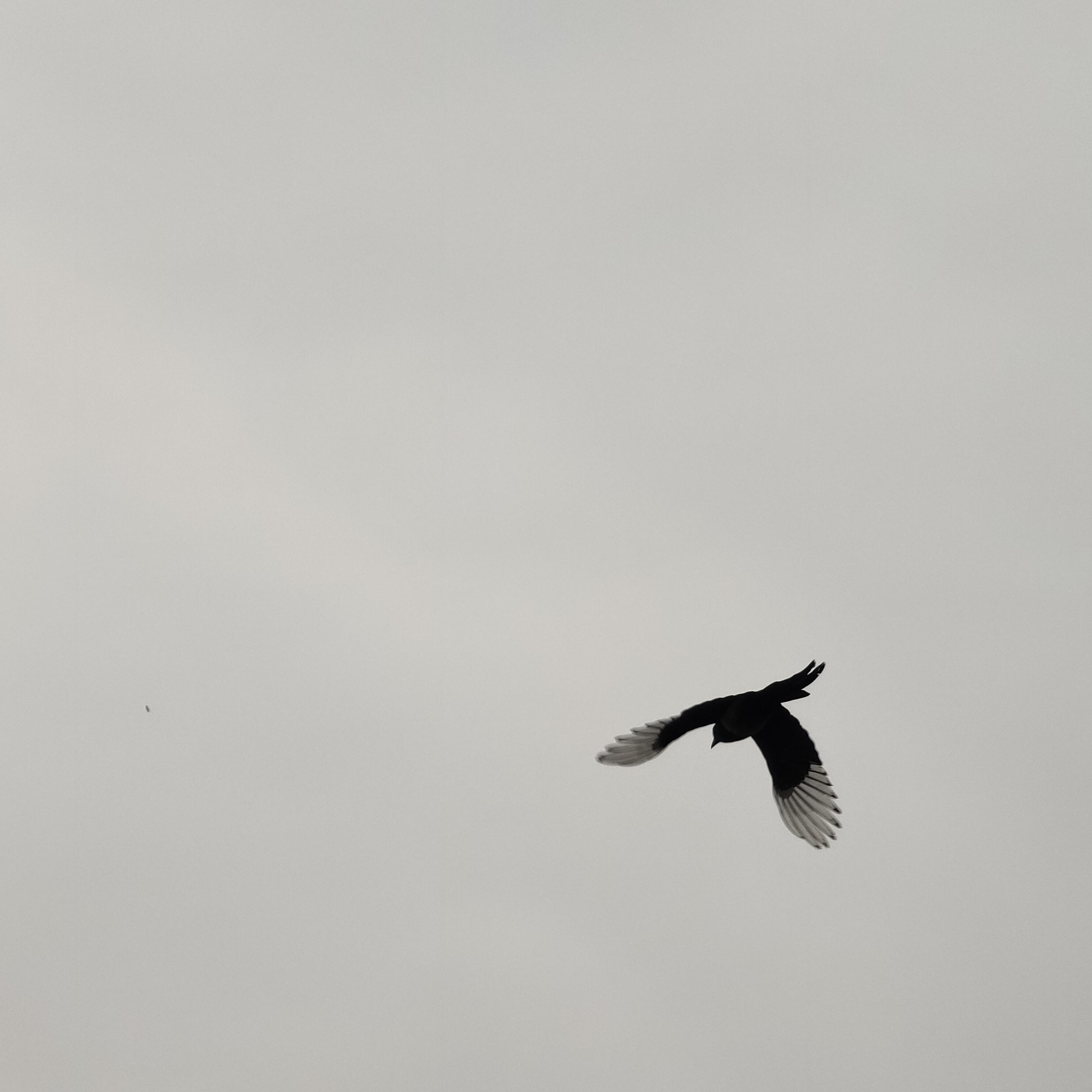 调色盘（Prod By 9Zi）