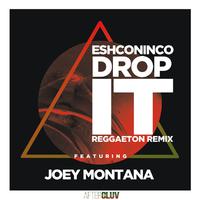 Drop It (Reggaeton Remix)