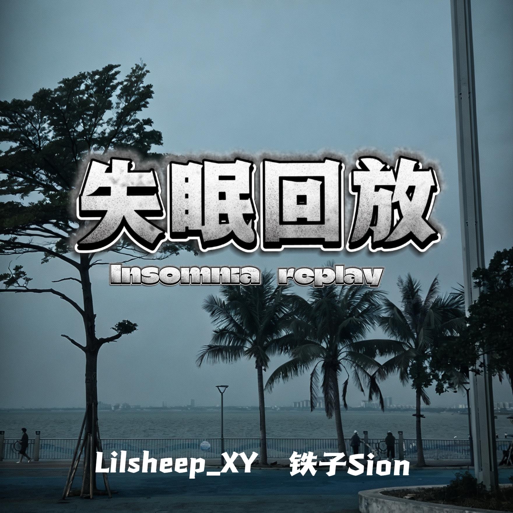 失眠回放封面