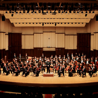 Detroit Symphony Orchestra